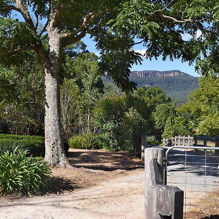 The Laurels B&B Kangaroo Valley Exteriör bild