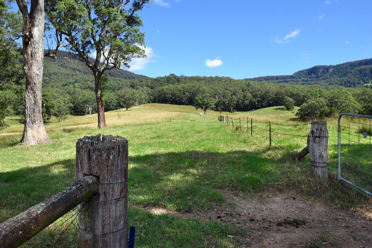 The Laurels B&B Kangaroo Valley Exteriör bild
