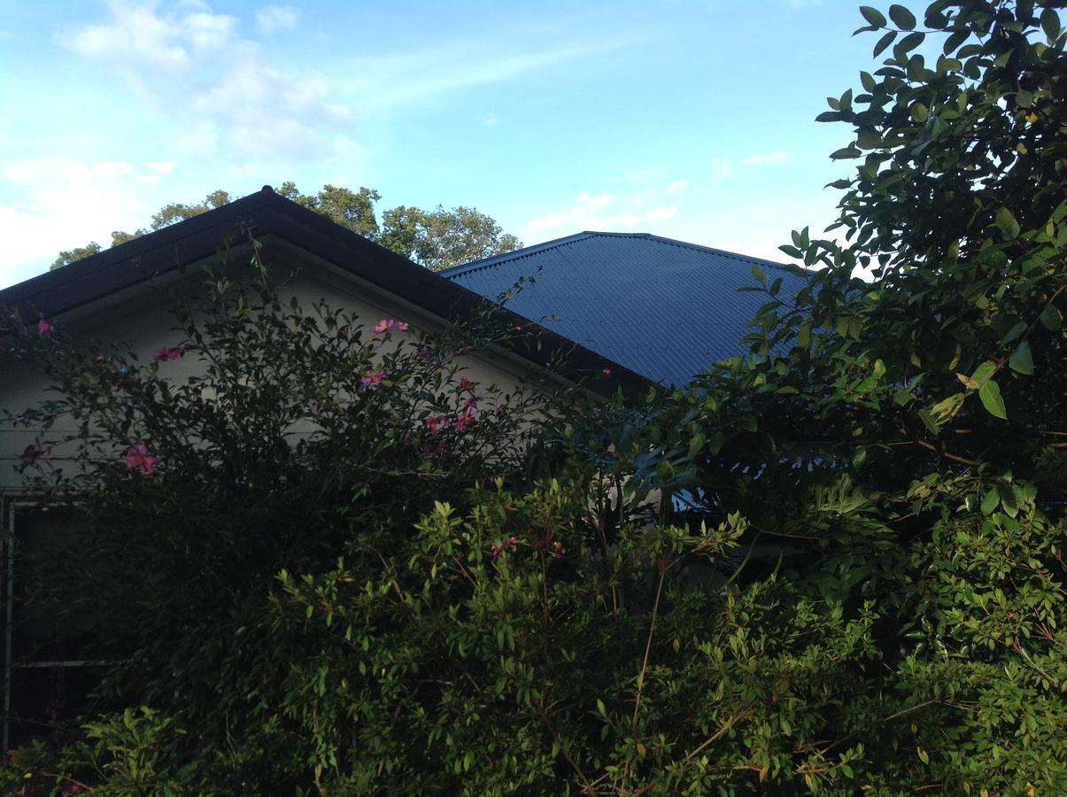 The Laurels B&B Kangaroo Valley Exteriör bild